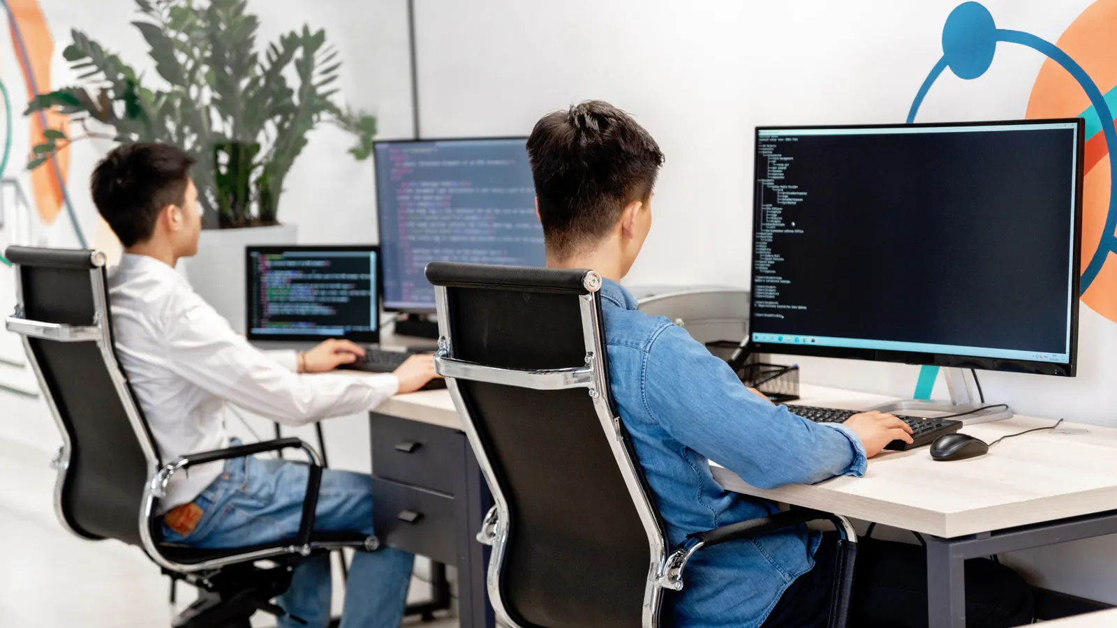 Web Development
